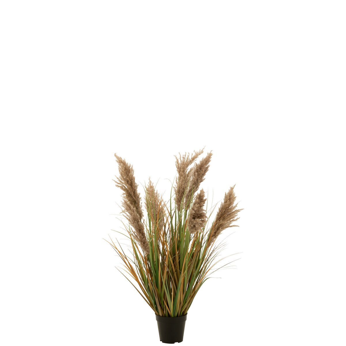 J-Line - Kunstplant 'Pampas' (Beige)