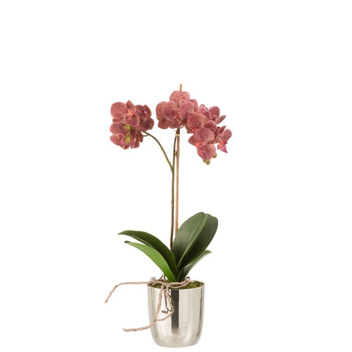 J-Line - Orchidee in pot 'Orchid' (Roze/Zilver)