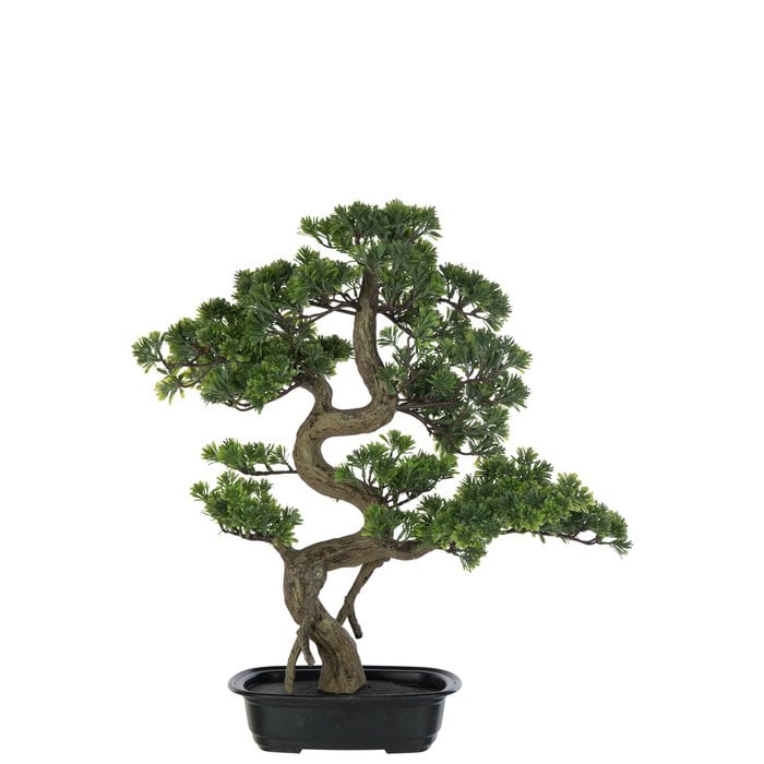 J-Line - Kunstplant 'Bonsai' (Large)