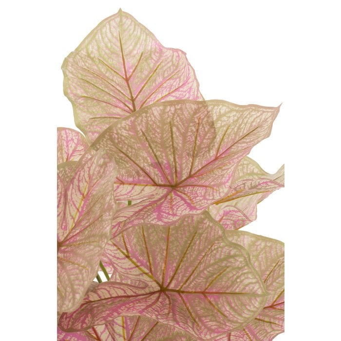 J-Line - Kunstplant in pot 'Caladium' (Roze/Groen)