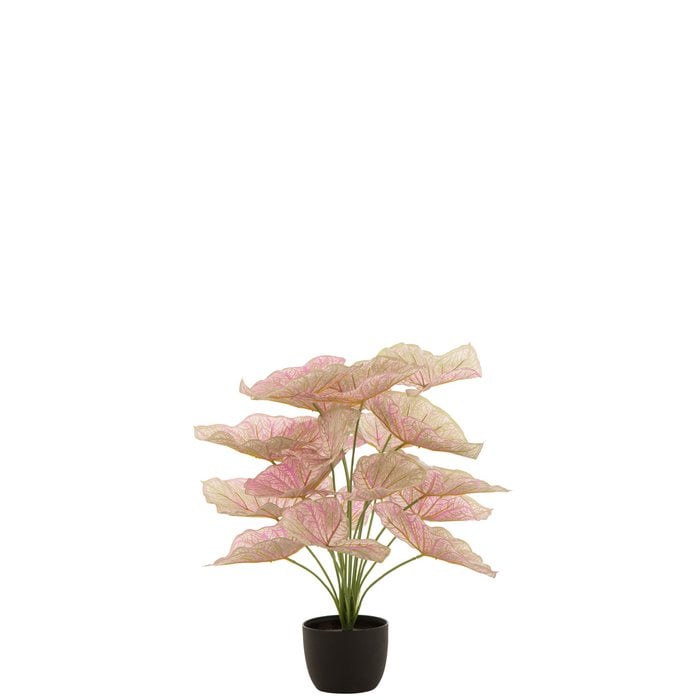 J-Line - Kunstplant in pot 'Caladium' (Roze/Groen)